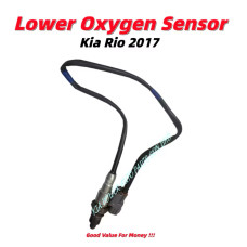 Lower Oxygen Sensor Lower Oxygen Sensor